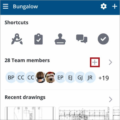 Team members widget invite